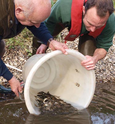 Fisheries Officer Dominic Martyn and John Drisse of Arborleigh Angling Society transfer the barbel to the Loddon
