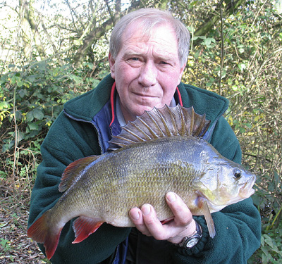 Livebaiting is the way for fish like this Lea specimen of 3lb 15oz - but I fancy dropshotting this season.
