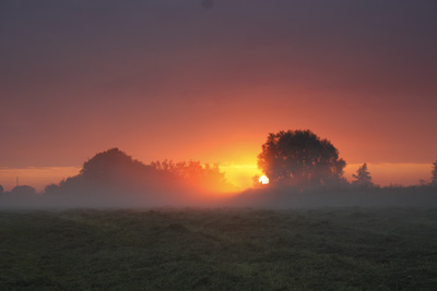 The first misty mornings of autumn will soon be here.