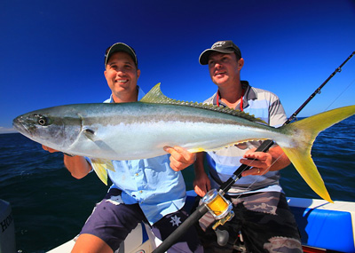 A Yellowtail Kingfish caught by my aussie mate Yerbs – the hardest fighting fish in the world IMHO and well worth travelling for!