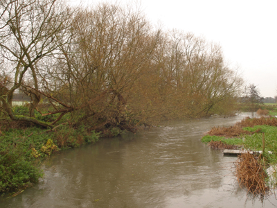 St Patrick's Stream - fishing on one bank is open to offers...