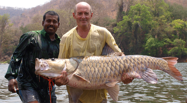 The largest mahseer known to man...