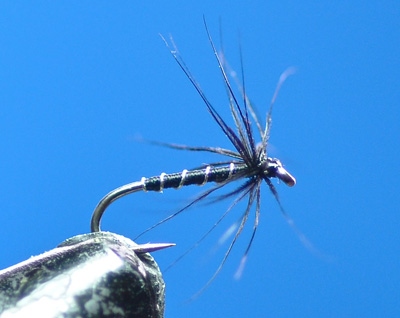 Try simple, small flies like this spider for silver fish action.
