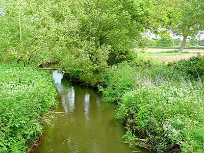 The Foudry Brook (photo courtesy of Graham Horn)