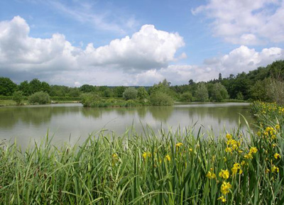 Bonds Lake on the Bury Hill Complex