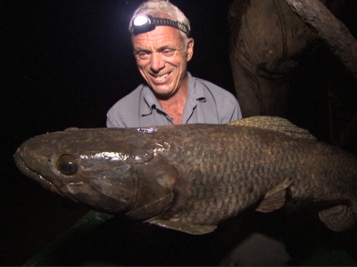The Suriname Wolf Fish