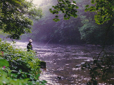 Fishing the Derbyshire Derwent