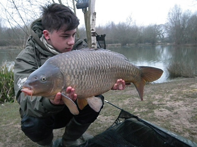 I awoke after a quiet night’s sleep to a clean 15lb Common 