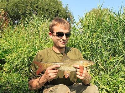 It was probably the smallest barbel in the stretch at about 1lb in weight 