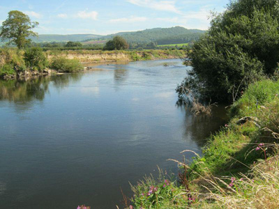 The Llanthomas Fishery - a delightful, wild section of river full of big fish of many species.