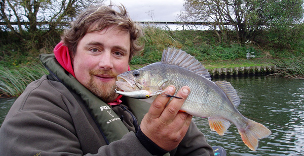 Make time for perch this autumn
