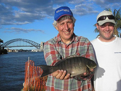  One of my first blackfish from Sydney Harbour. Sure they are good to eat but most of mine went back to grow bigger