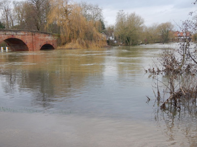 It rained a lot in January – closing Sonning Bridge on the Thames near Reading – and dredging the river would have brought down the floodwaters from the Cotswolds even quicker!