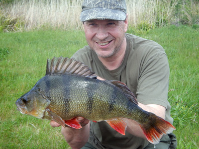 Big gravel pit perch always have such great colouring