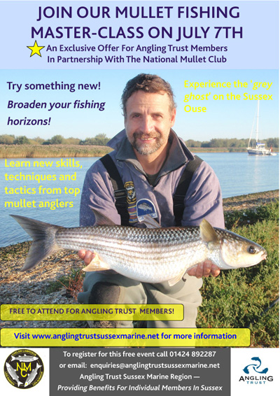 Fancy catching a mullet?