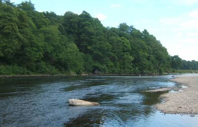 Murthly is one of the great middle river beats of the Tay