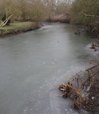 A frozen River Loddon - but where is winter this year?