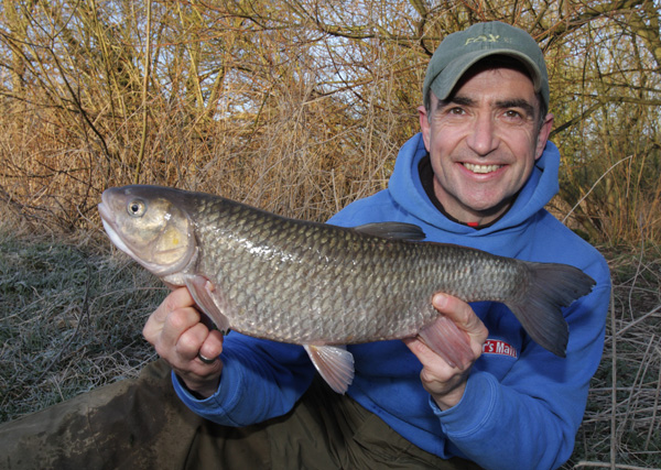 A nice 6lb plus fish on a frosty morning - chub are very predictable in winter