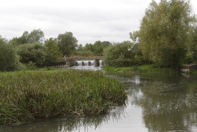 The Kennet - one of the ten rivers highlighted by the campaign