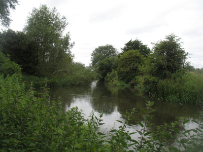 A rising River Kennet
