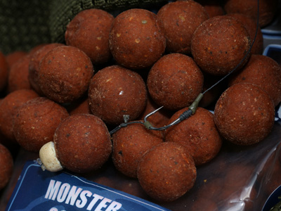 Tipping hook baits fished over quality food is also a top autumn tactic
