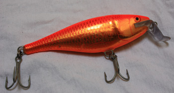 The Rapala SSR - opinions are divided!