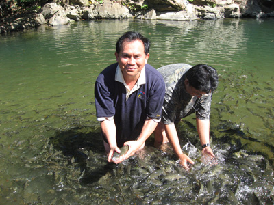 Experiencing a fish massage at Ranau Village