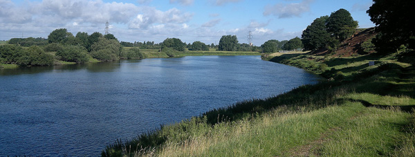 The tidal Trent - an ideal bait testing ground