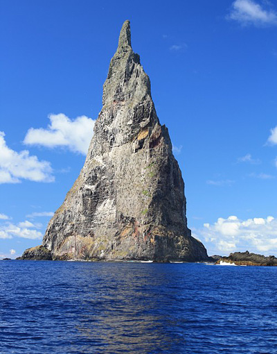 The impressive Ball's Pyramid, the largest 'ocean stack' in the world and home to some serious fish!