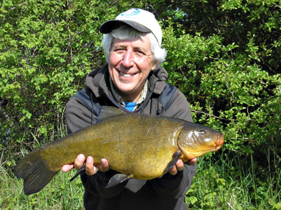 No real monsters as yet but some nice spring tench have come my way this year including this 7.05 Thames Valley beauty
