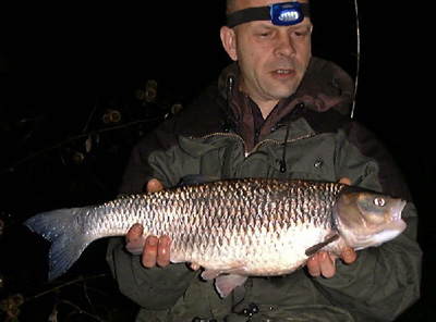 A 7lb fish in floodwater