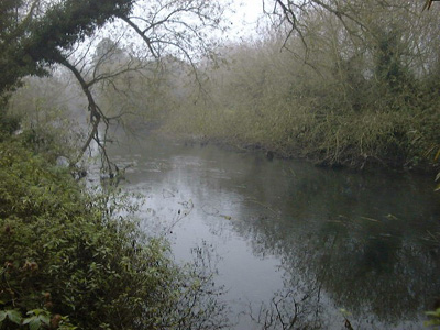 A typical winter swim on the Old River Lea