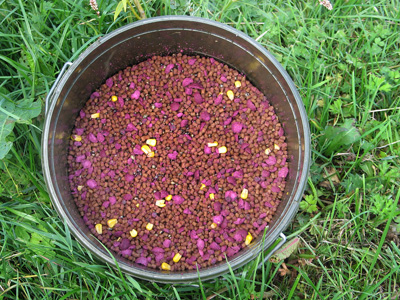 The mix of pellets, chopped boilies and a sprinkling of sweetcorn 