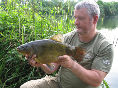 By mid-afternoon I'd had several tench to 6lb 8oz 