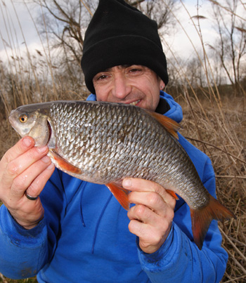 A 3lb plus Avon roach - will they be there for future generations?