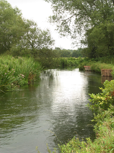 Only a handful of chalk streams are given the proper protection which their special status requires