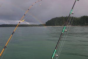 Halibut at the end of the rainbow?