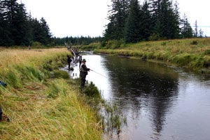 The group fishes Tawah Creek
