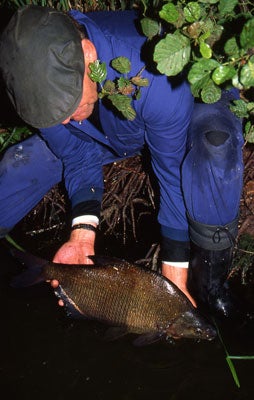 A Cheshire mere bream is returned