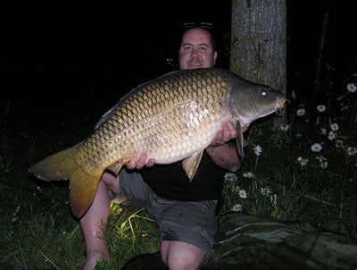 A lovely common for Stu