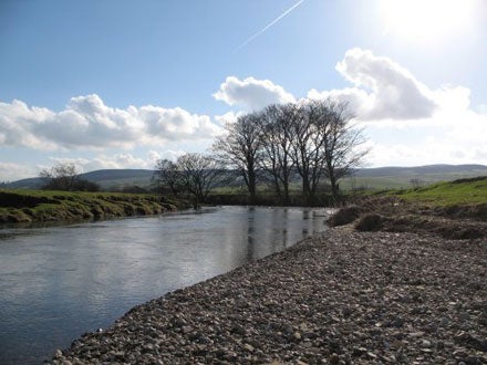 The Upper Aire