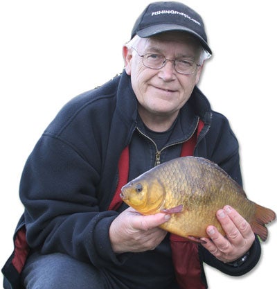 The high-backed form of crucian carp