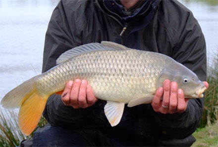 Only 281,083 anglers in the UK