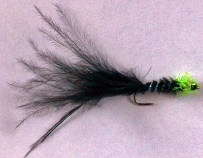 My final version.  The body is now much slimmer, the rib is stretched pearl twinkle and the thorax is a few turns of lime green Fritz.  I   leave the tail long as I rarely get problems with tail nipping. This one is tied on a size 12 long shank lure hook