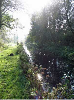 An offshoot of the River Kennet