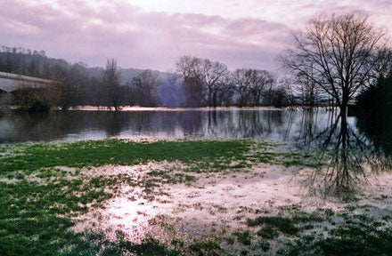 Flooded Fields - we missed them completely this year