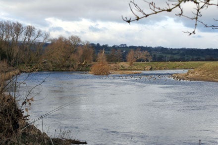 A wild and windy Ribble for the 6th Fish-in