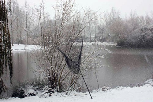 Carping in the snow