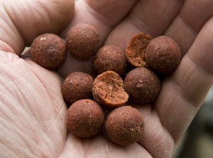 Quest Baits Special Crab Boilies