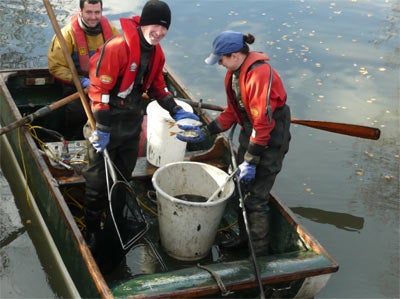 Staveley Fish Rescue